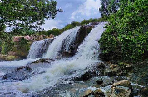 14 Top Attractions & Places to Visit in New South .